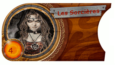 Bannnière_avec_trousorcières